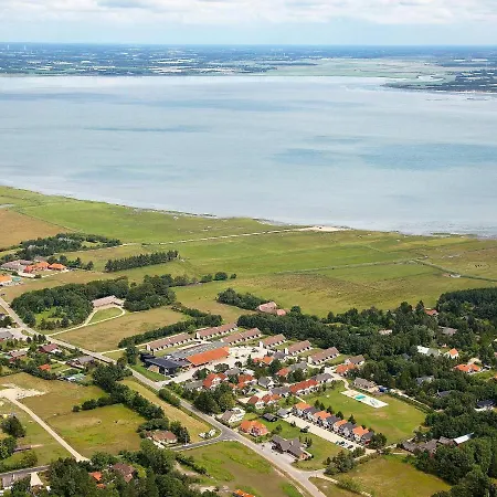 Lvi