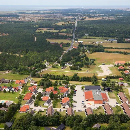 Lvi *